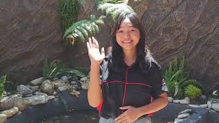 SOFT NEWS || Pemanfaatan Teknologi Dalam Pembelajaran SMKN 1 KENDAL screenshot 2