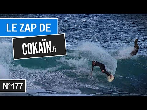 Le Zap de Cokaïn.fr n°177