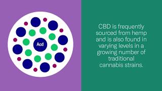 Famous What is CBD (cannabidiol)? | Leafly Wealth