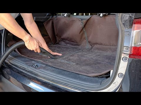 How To Get Dog Hair Out of Car Seats