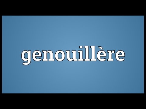 Genouillère Meaning @adictionary3492