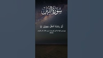 Wat-Teen (سورة التين) | وَالتِّينِ وَالزَّيْتُونِ" |A Divine Oath & Human Dignity | Beautiful Quran