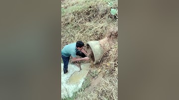 Remove Debris Clog In Culvert Drain #unclog #culvert #satisfying #shorts