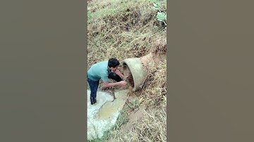 Remove Debris Clog In Culvert Drain #unclog #culvert #satisfying #shorts