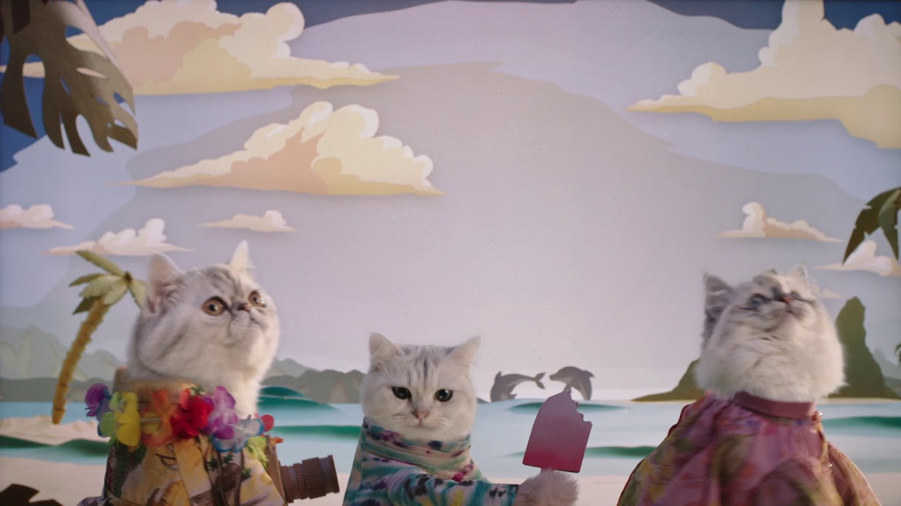 Hela Sverige sjunger med - Flyg Flyg Flyg Flygresor.se!