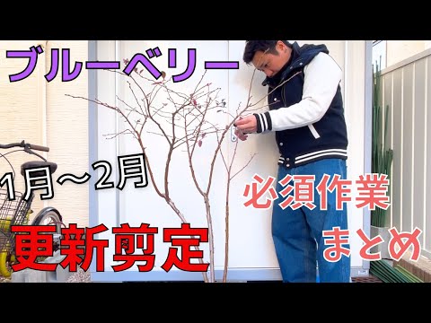 はむお菜園 - YouTube