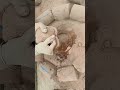 Very Soft Crunchy Red Mud Dirt Water Crumbling in claypot #insane #clay #asmr #oddlysatisfying