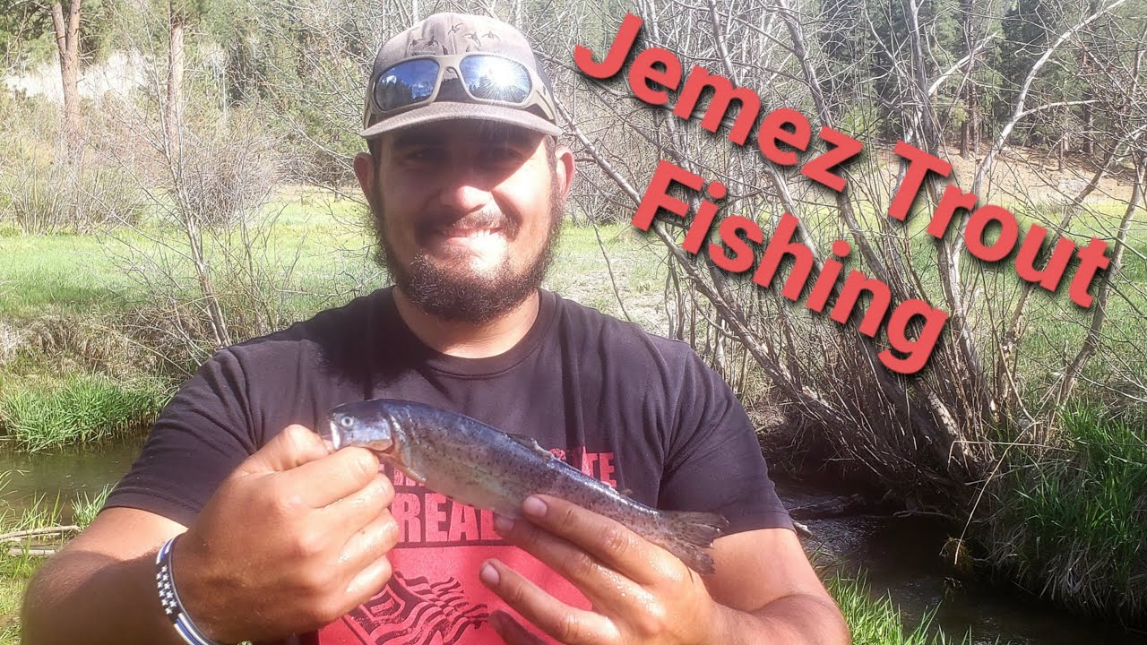 Trout fishing in the Jemez river YouTube