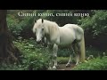 Сивий коню сивий коню