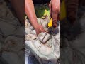 Octopus Found Hidden Gold Under the Sea 😱🐙 | Deep Sea Treasure Hunt