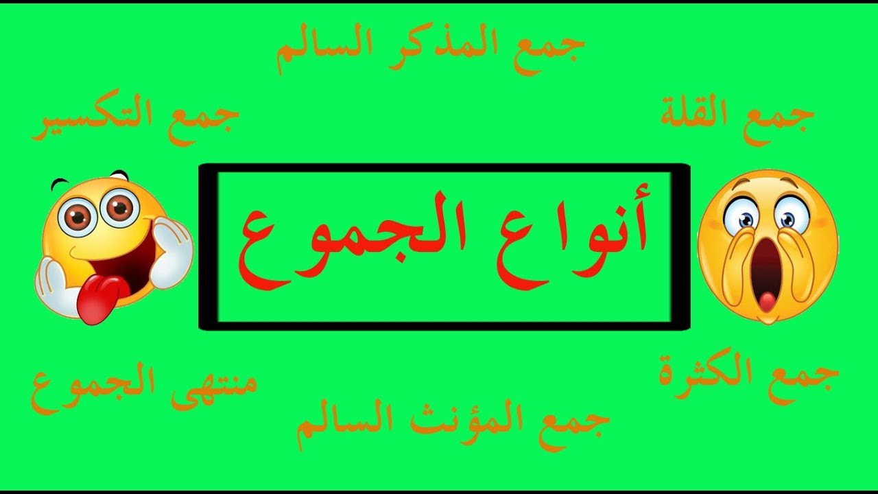 تعلم الصرف بسهولة - الحلقة 7 - أنواع الجموع في اللغة العربية