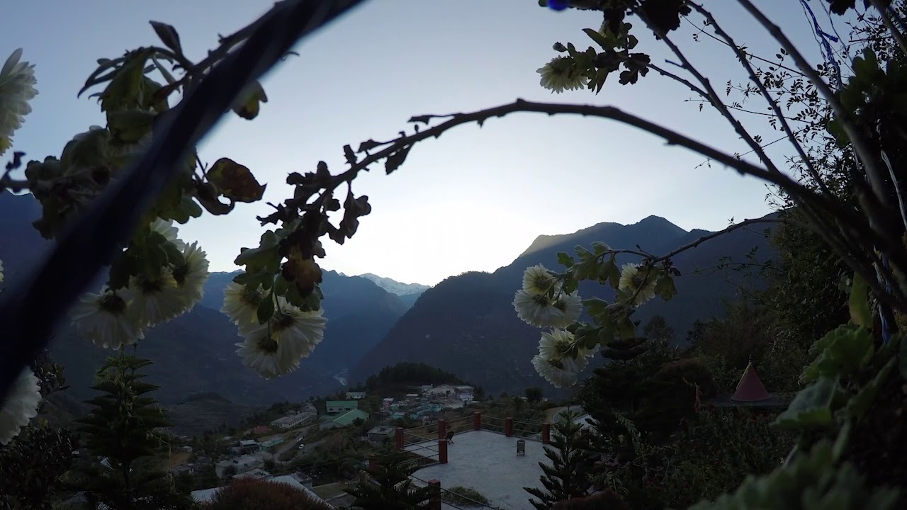 Surise Peaches & Pears Gopeshwar YouTube