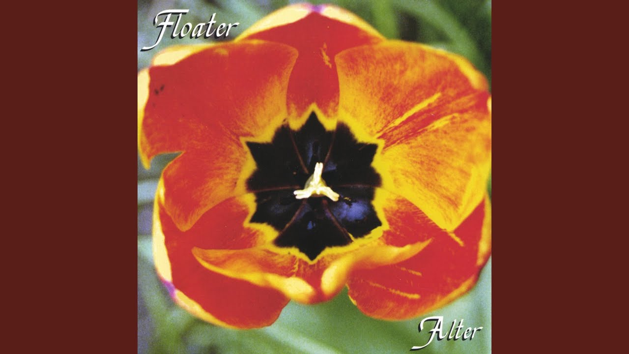 Tracks Across the Snow