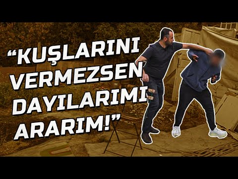 Sinirden Çılgına Dönen Güvercin Seyisi - Ala Türkiye Kümes Ziyareti