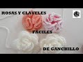 Rosas y Claveles