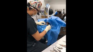 Bite Size Dentistry CE Series Episode 1