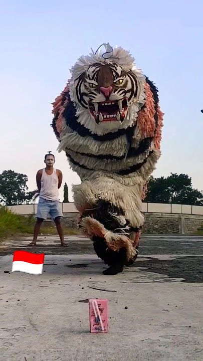 LEBARAN ISRAEL NANGIS GAK KEBAGIAN SUSU #savepalestina #freepalestine #TAKBIRAN #iduladha