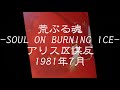 荒ぶる魂 SOUL ON BURNING ICE