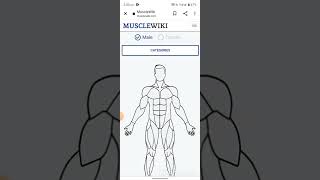 body Kaise banaye tips application screenshot 4