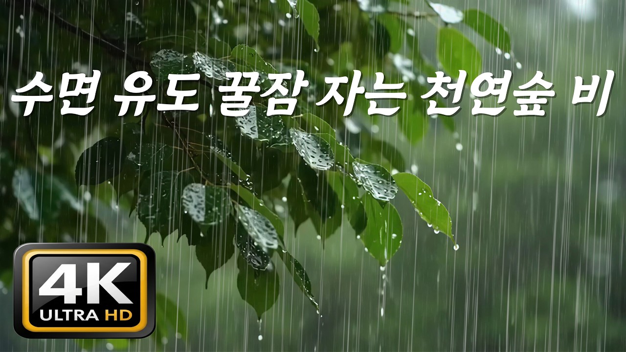 수면 유도 꿀잠 자는 천연숲 빗소리, [중간광고없음]10분후 검은화면, 지금 당신의 방은 깊은 숲속입니다 🌳 마음이 평온해지는 천연 수면제 빗소리, ASMR