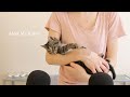 ASMR - I Adopted a Kitten! + Announcement