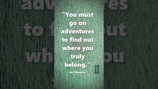 #shorts | Sue Fitzmaurice Quote | Quote | #quotes #inspirationalquotes #life #rtwt #wise #adventure