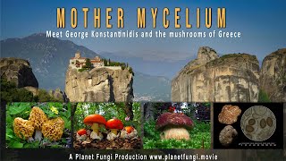 MOTHER MYCELIUM  The Mushrooms of Greece