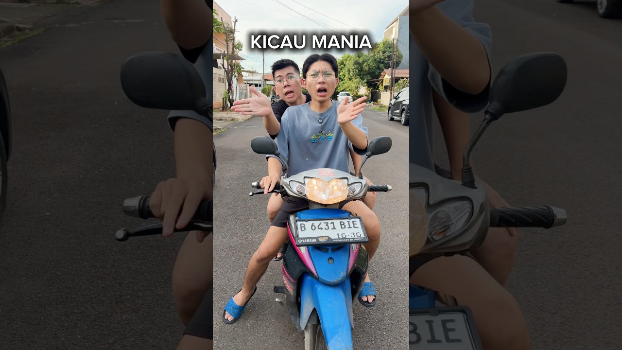 Malah joget kicau mania