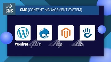 Endive Software Journey || Best Web & Mobile App Development Solution