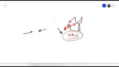 MLZS JHANSI CLASS 9 Physics Law of Motion