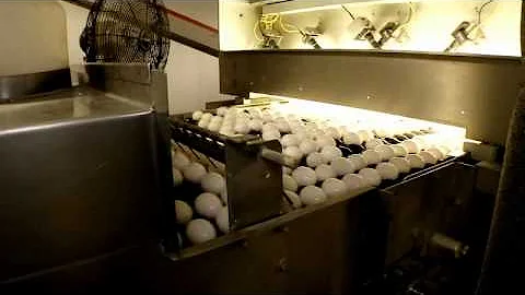 Jill Benson: Take a Look at Our Egg Processing Plant