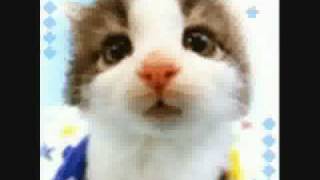 amicizia amv the bigger than us