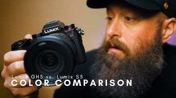 GH5 vs S5 Color Profile Comparison // Lumix Color Profiles Settings for Natural, Cinelike D and VLog