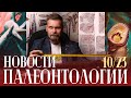 Древнейшая ящерица оказалась не ящерицей | Морские рептилии | Скелет хищного динозавра в России!