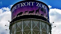 DETROIT ZOO TOUR & HIGHLIGHTS ROYAL OAK MICHIGAN ANIMALS