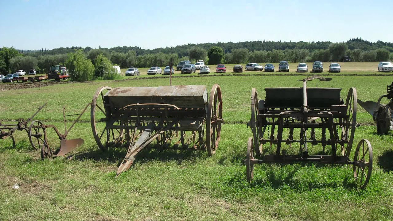 FESTA DELLA TREBBIATURA LAZISE -SANDRA'