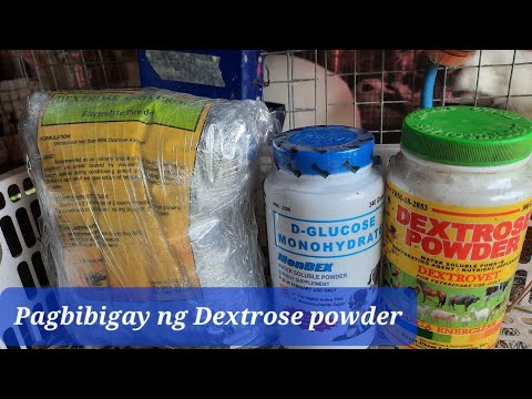 Video: Sa isang pulbos ng pulbos