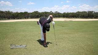 My Skins Game Mini Tour - Golf Rules Quiz Videos:  Embedded Ball screenshot 3