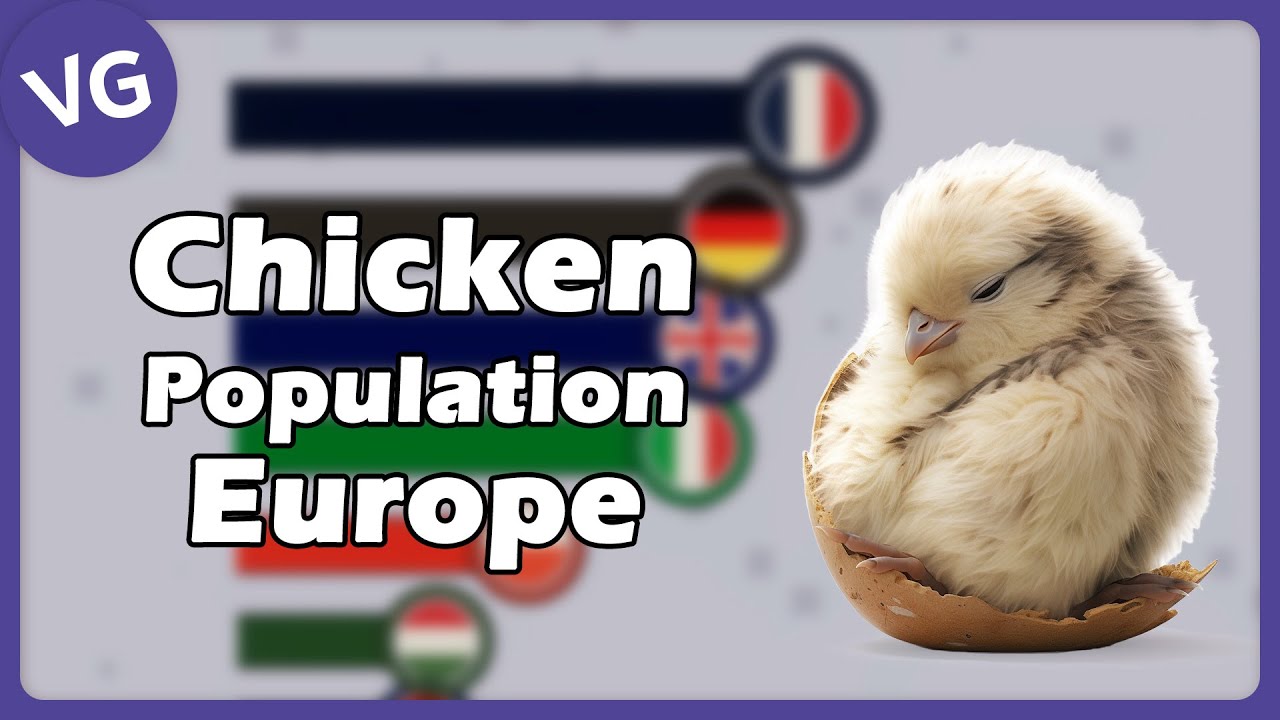 The Countries with the Largest Number of Chickens in Europe YouTube