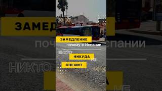 #менталитет#испания#торревьеха#аликанте#жизньвиспании
