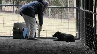 Roxy Outruns 1302025 1