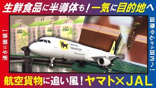 【牛乳（LBS）】生産翌日に北海道から沖縄に届く　2024年問題背景に航空貨物サービスが変化　宅配便大手も充実