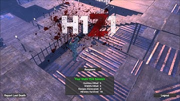 Another hacker H1Z1