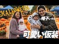 【可愛すぎて失神注意】家族でハロウィン満喫してきた♡＆あやなん家にお泊り!!!