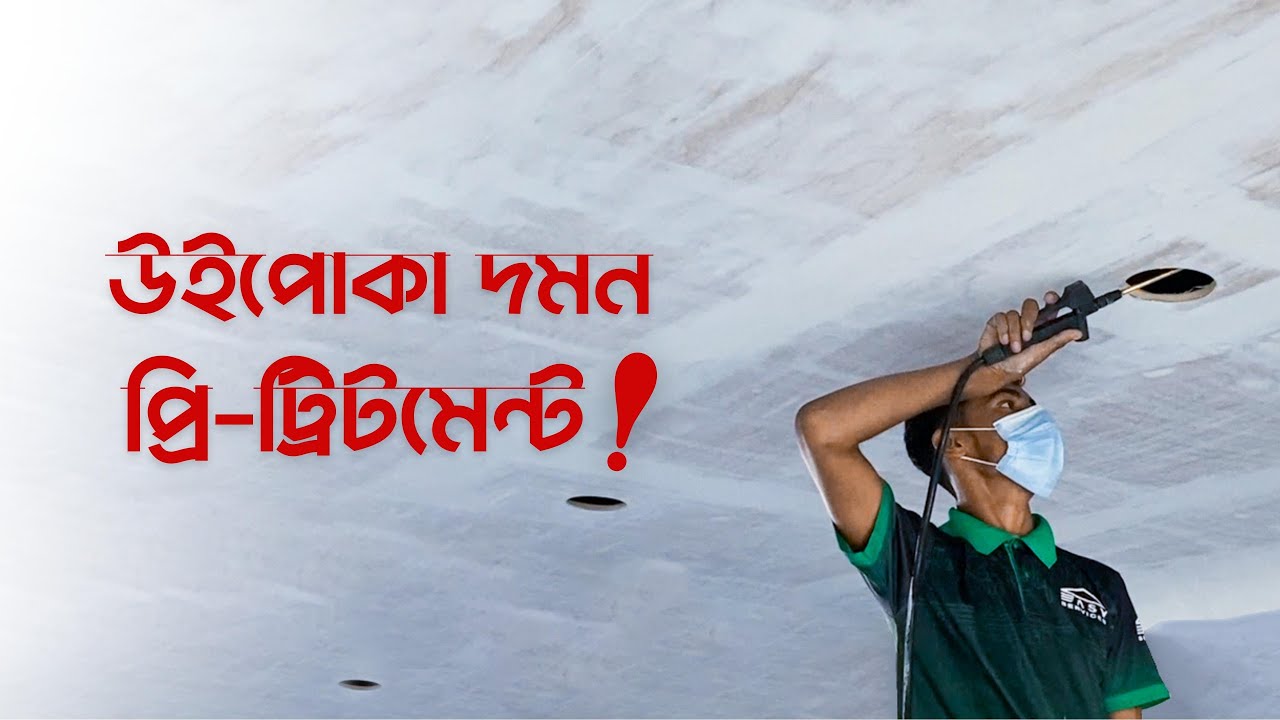 উইপোকা তাড়ানোর উপায় । Termite Control Services. Pest Control Services