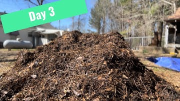 Day 3 of the 18-Day Compost Challenge: Surprising Progress & Tips You Won’t Believe!