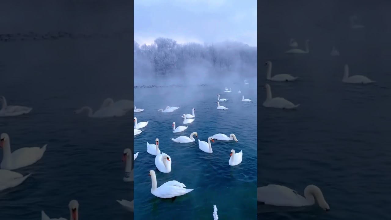 How to Connect with Buddha Nature