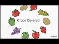 AI Plant Disease Detection App | Flutter + TensorFlow Lite Project