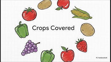 AI Plant Disease Detection App | Flutter + TensorFlow Lite Project