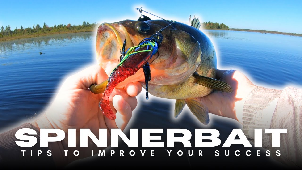 Spinnerbait Tips That Will Double The Fish You Catch!